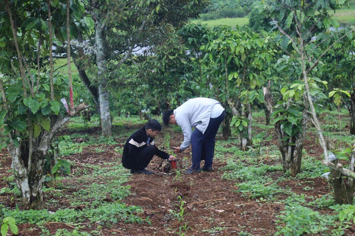 Tiến hành dự án xây dựng đường cao tốc Bảo Lộc – Liên Khương