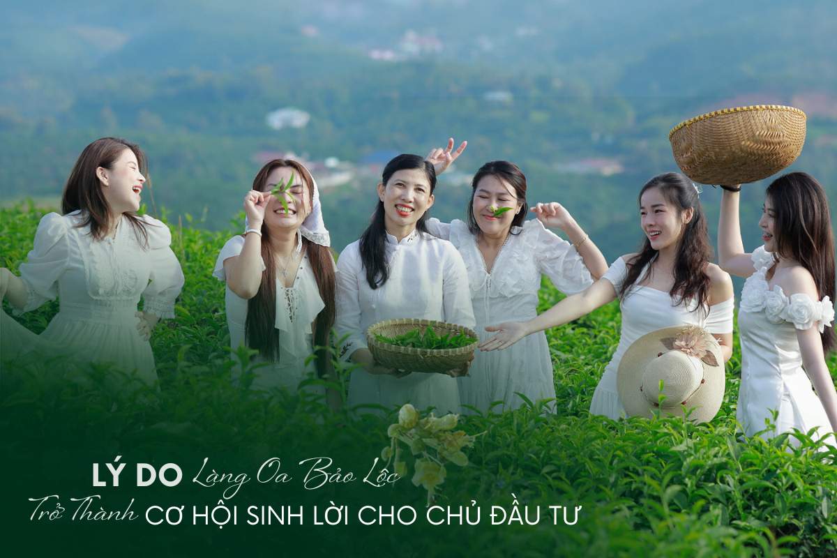 Lý Do Vân Thôn Retreat Bảo Lộc Trở Thành Cơ Hội Sinh Lời Cho Nhà Đầu Tư