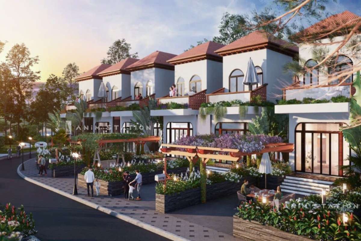 Tiến độ của Daberla Tropical