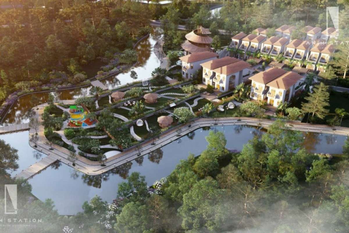 Tiến độ của Daberla Tropical