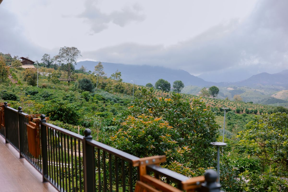 Thiên nhiên nguyên bản