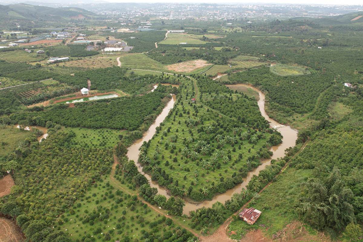 Đất Nông Nghiệp Có Xây Được Nhà Ở Không? | Hiểu Đúng Quy Định & Kiến Tạo Giá Trị Thực Tế