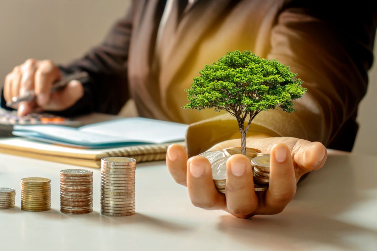 Đầu Tư Đất Nền Nghỉ Dưỡng Bảo Lộc: Những Điều Cần Biết Trước Khi Quyết Định & Vai Trò Của Vân Thôn Retreat Bảo Lộc