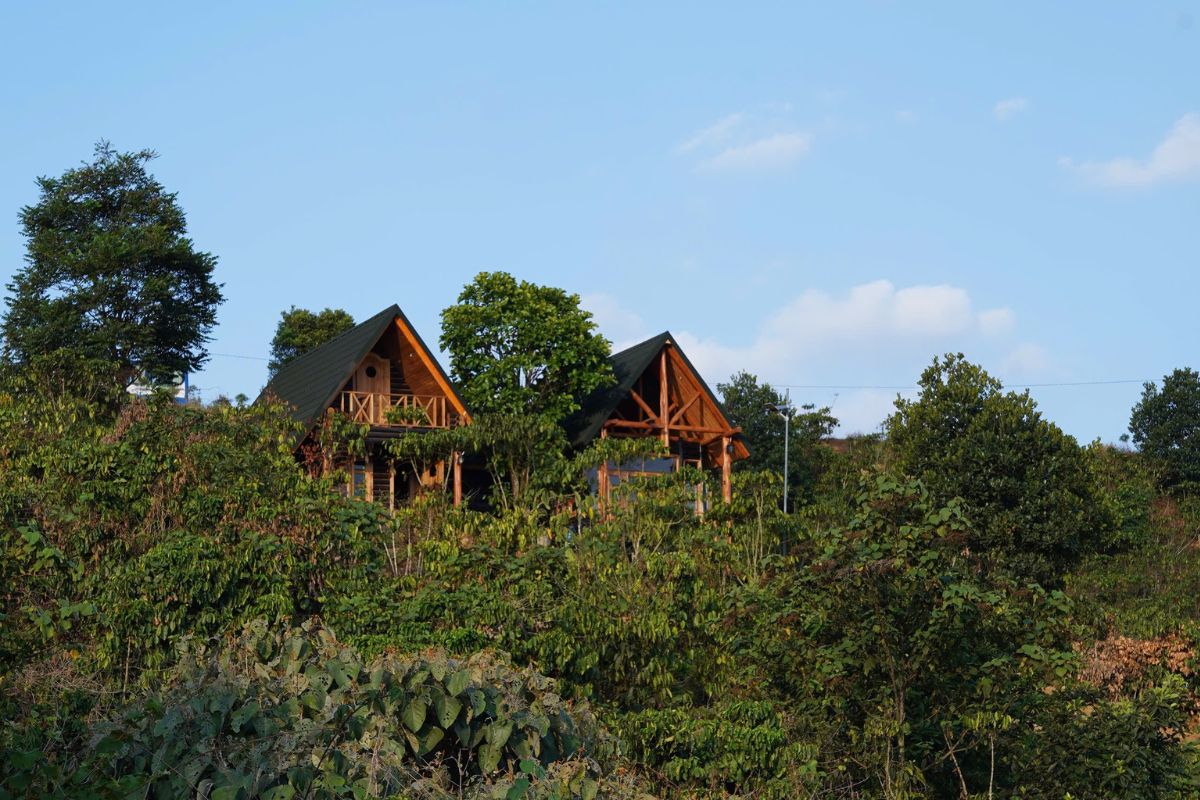 Kiến trúc xanh Vân Thôn Retreat Cloud hòa quyện với rừng thông nguyên sinh Bảo Lộc