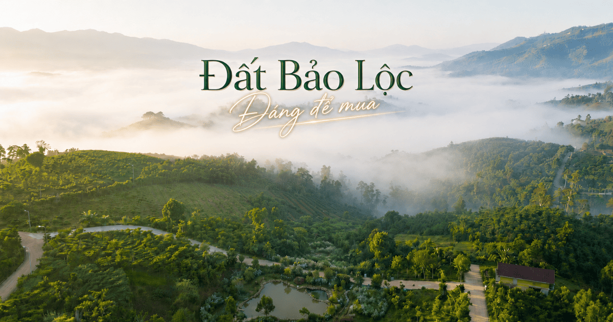 Đất Bảo Lộc 2026: Bảng giá, pháp lý & khu vực tốt nhất để mua.