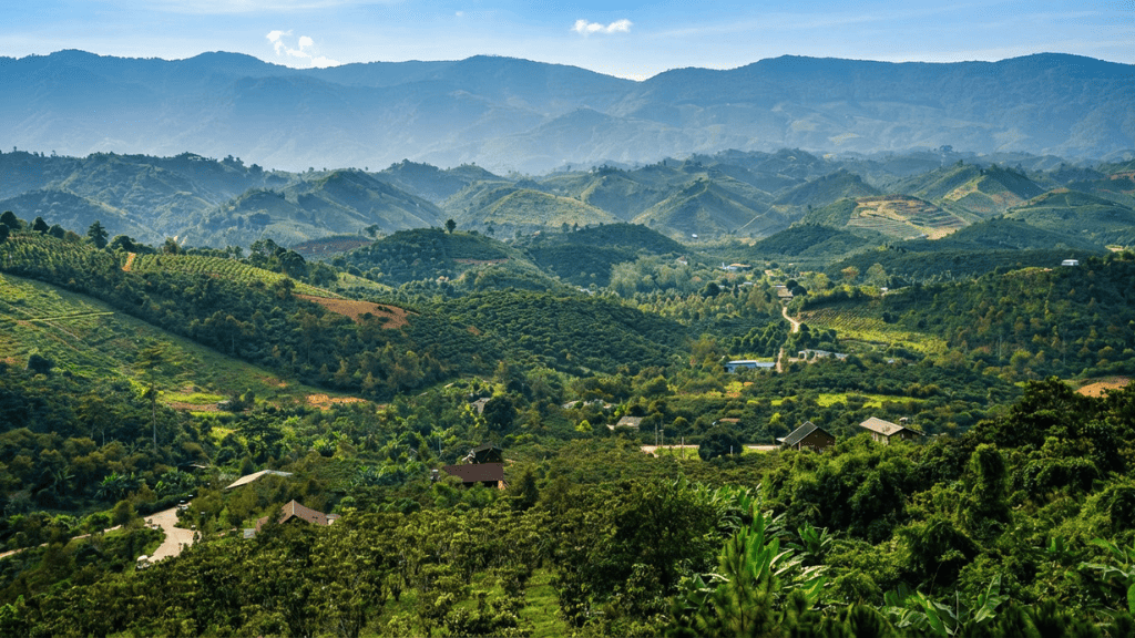 Retreat là gì và vì sao ngày càng phổ biến.
