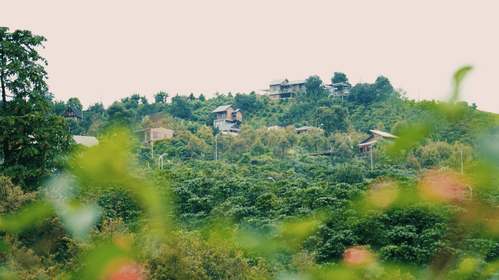 Khí Hậu Và Địa Lý, Lợi Thế Không Thể Sao Chép
