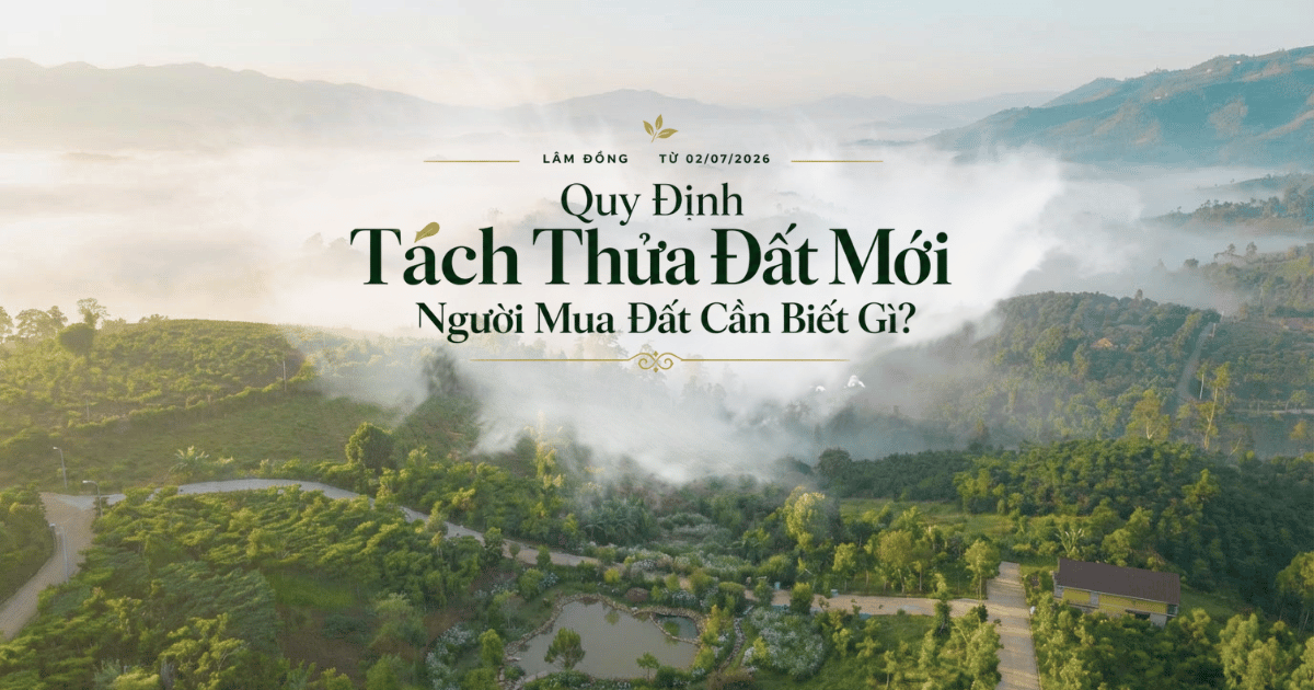 Quy định tách thửa đất Lâm Đồng từ 2/7/2026: Người mua cần biết gì?