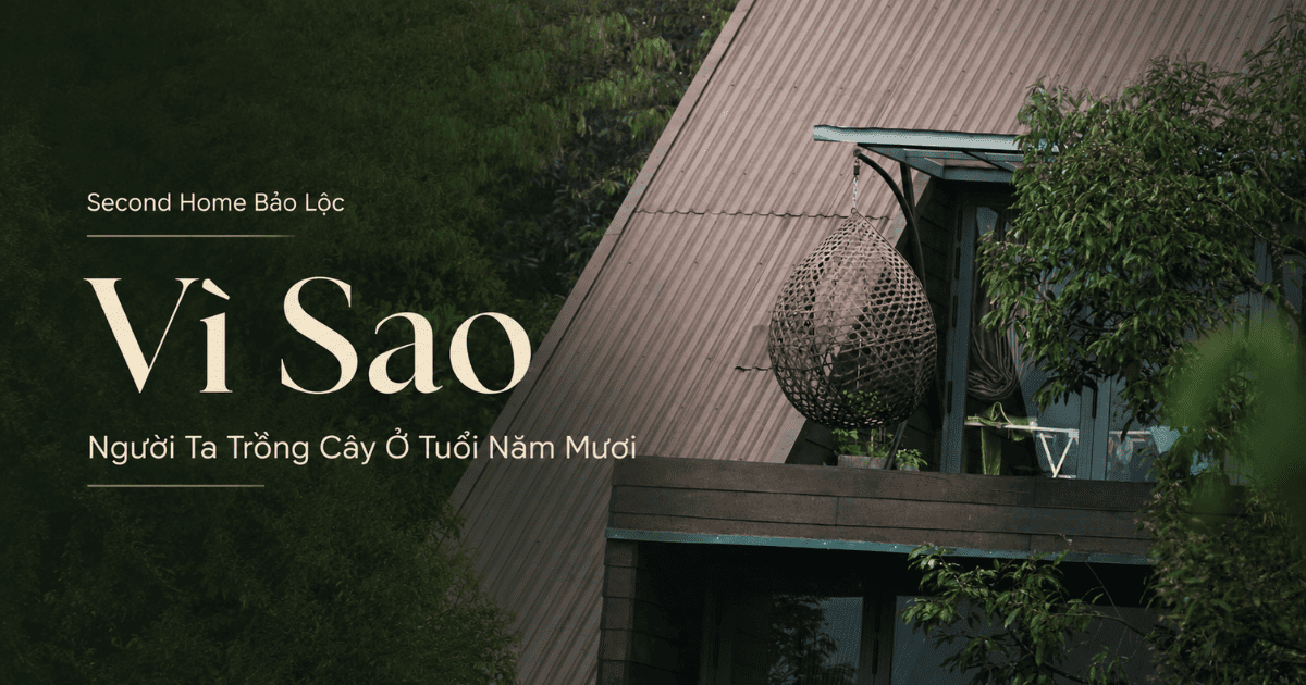 Second Home Bảo Lộc: Vì Sao Người Ta Trồng Cây Ở Tuổi 50