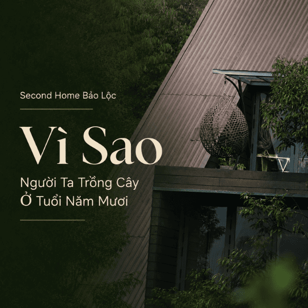 Second Home Bảo Lộc: Vì Sao Người Ta Trồng Cây Ở Tuổi 50