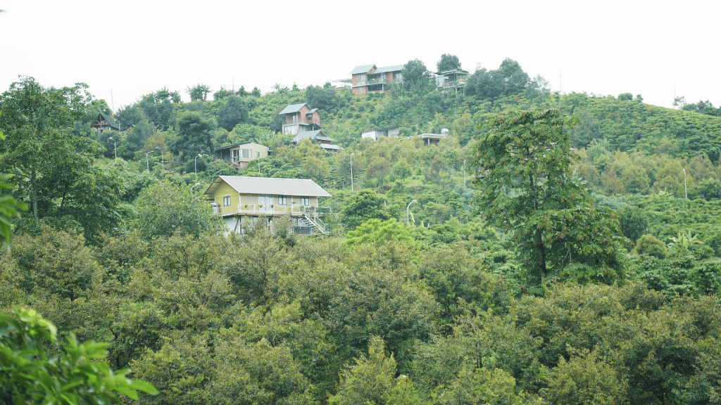 Vì sao người trưởng thành chọn về gần thiên nhiên