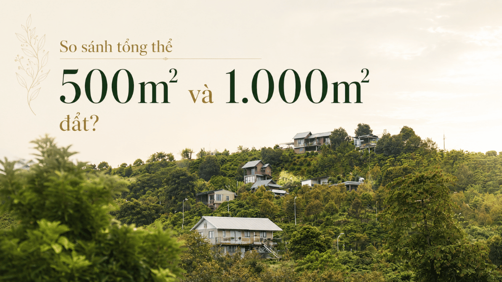 So sánh tổng thể đất 500m2 và 1.000m2?