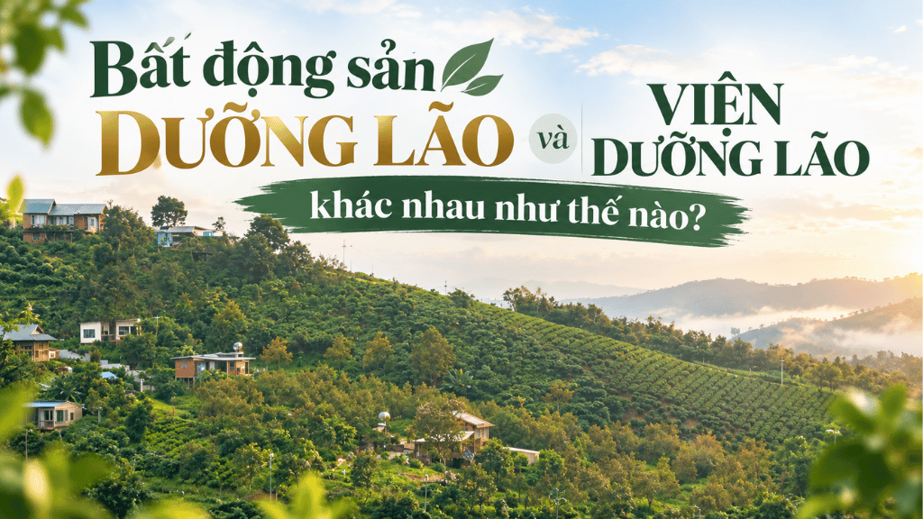 Bất động sản dưỡng lão và viện dưỡng lão khác nhau như thế nào?