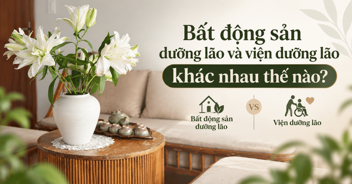 Bất động sản dưỡng lão và viện dưỡng lão khác nhau thế nào?