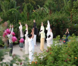 Hoạt động thiền sáng tại Vân Thôn Retreat Bảo Lộc Hoạt động thiền sáng tại Vân Thôn Retreat Bảo Lộc